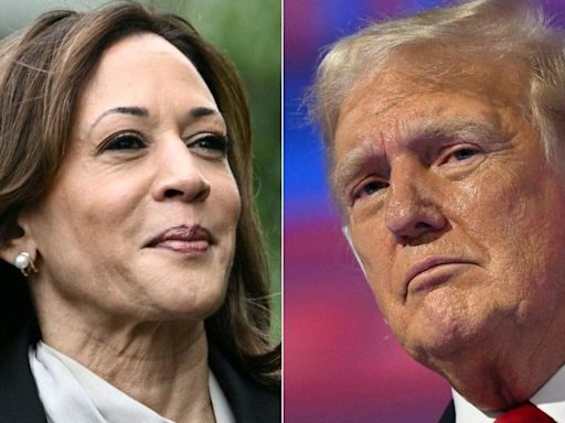 Nuevo round entre Trump y Kamala Harris: “Lunática de izquierda” vs “sirviente de ricos”