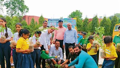 Karnal: Plantation drive organised