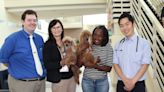 UF Small Animal Hospital makes history with first open-heart surgery procedure