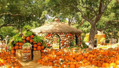 The Best Fall Festivals to Make the Most Out of Harvest Season