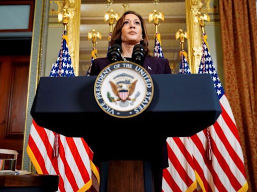 More than 160,000 people join white women for Kamala Harris Zoom call