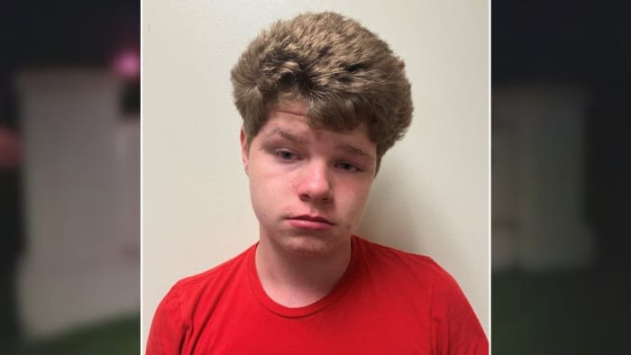 14-year-old accused of sexually battering elderly woman in Marion County