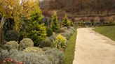 Create a Living Fence with These 12 Fast-Growing Shrubs for Privacy