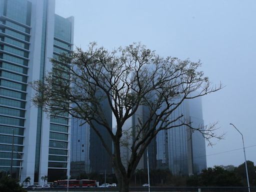 El Niño termina nas próximas semanas e La Niña deve começar a atuar no fim do inverno; entenda o impacto no RS | GZH