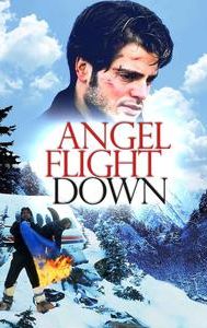 Angel Flight Down