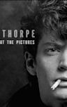 Mapplethorpe: Look at the Pictures