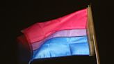 What to Know About the Bisexuality Pride Flag