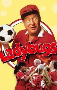 Ladybugs (film)