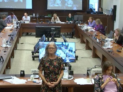 London women's advocate storms out of House committee meeting