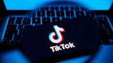 Government should counter misinformation on TikTok - MPs