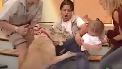 Qué pasó con la niña atacada por un león en vivo hace más de 20 años