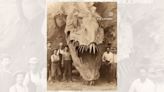 Fact Check: About Those Supposed Photos of Extinct 'Dragons' of North America