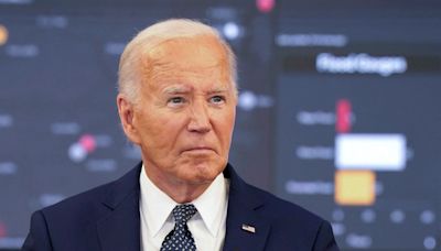 Inside the ‘bedwetting brigade’ fighting to oust Biden