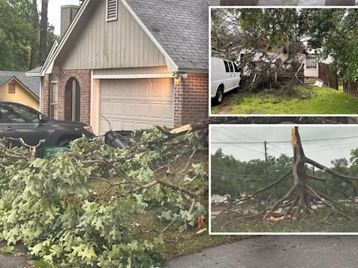 Powerful storms, possible tornadoes turn deadly in Tallahassee as South pummeled by fast-moving squall line