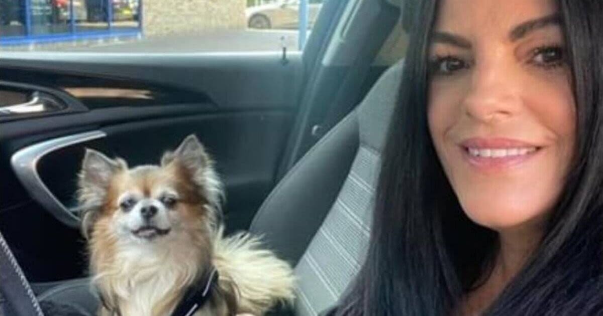 Dog becomes local celebrity in tiny UK city after taxi driver takes him to work