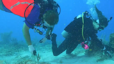 600 scuba divers, voluteers help remove Florida Keys underwater, coastal debris