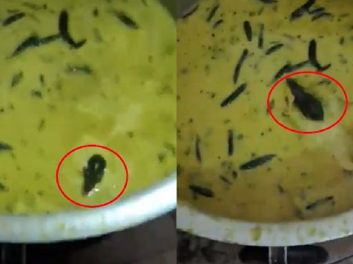 Hyderabad Viral Video: Students Find Rat In 'Chutney' At Jawaharlal Nehru Technological University Mess