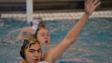 Boys Water Polo: Stevenson Shocks Naperville North, Returns To State Championship Game - Journal & Topics Media Group