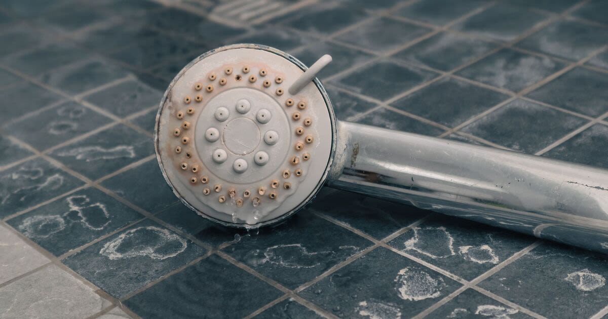 Dissolve shower head limescale quicker than vinegar and baking soda with 1 item