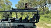 I Saw the Big Five, Experienced Iconic Victoria Falls, and Camped Out Under the Stars With Like-minded Travelers on This...