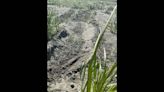 Driver ignores signs and runs over threatened species’ nest on beach, WA officials say