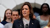 Texas, the country's third-largest DNC delegation, votes to endorse Kamala Harris