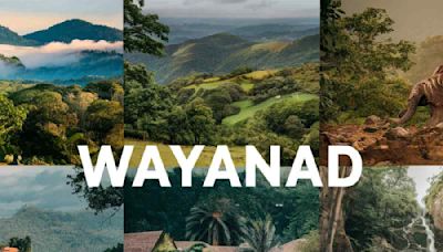 Experience The Magic Of Wayanad: A Blissful Retreat In Keralas Lush Wilderness