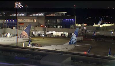 Panic as 30 cruise ship passengers fall ill on Boeing 737 Max