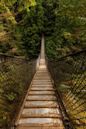 Lynn Canyon Suspension Bridge