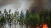 Wildfires burn, farmers struggle as another heatwave bakes western Europe