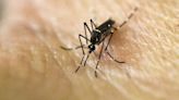 Mosquitoes test positive for West Nile in Canton