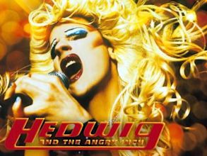 Hedwig and the Angry Inch (film)