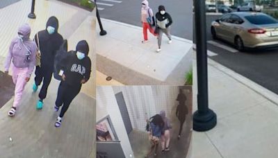 Photos of alleged attempted Tanger Outlets shoplifters released