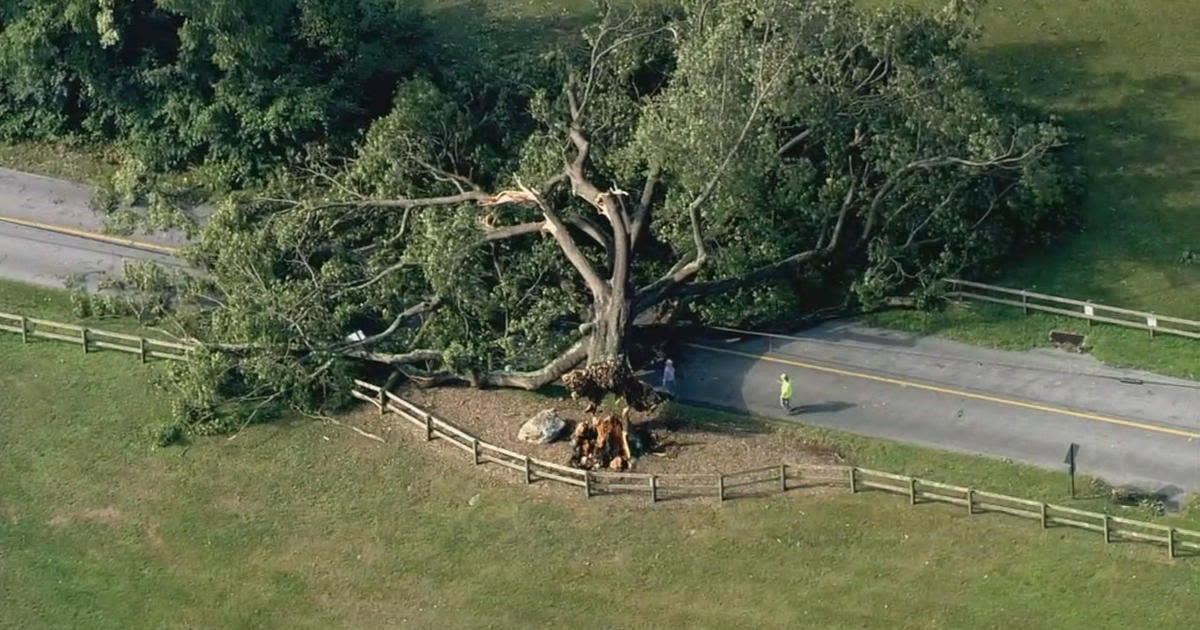Power outages and damage reported across Pennsylvania, South Jersey and Delaware after storms