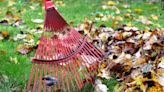 Yard waste season starting in South Bend