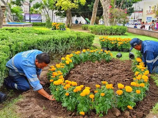 Avanza Ayuntamiento en rehabilitación de parques públicos y áreas verdes