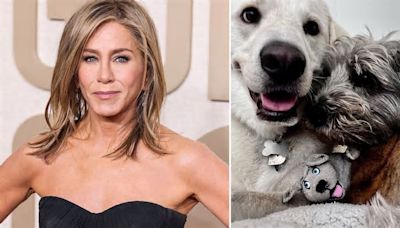 Jennifer Aniston's designer dog house for 3 precious pups at sprawling $21m home