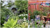 What happens to the Chelsea Flower Show gardens once the show is over?