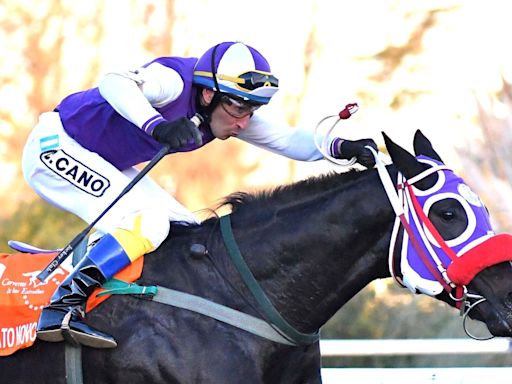 Triple Corona del turf: fue alumno de la jocketa argentina más ilustre y corre a Colifato Novo, el potrillo que le cambió la vida