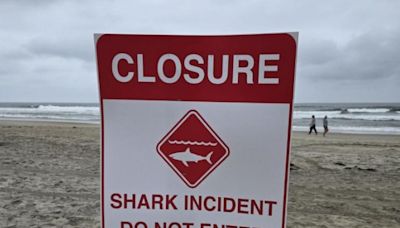 Shark attack prompts beach closure in Del Mar