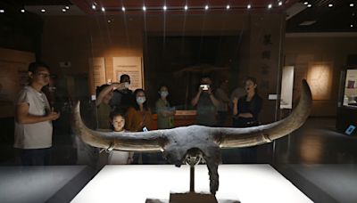 Museum visits gaining popularity among young people