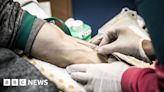 Autumn date to fix hacked blood transfusion services