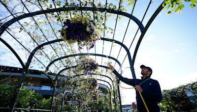 Wimbledon flower displays to be peat-free, head gardener vows