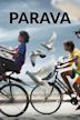 Parava