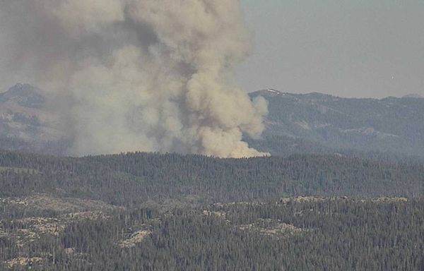 ‘Rapid’ vegetation fire burning in Tahoe National Forest near Soda Springs, officials say