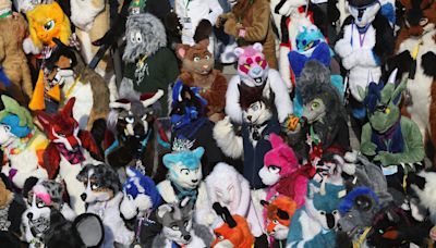 Utah school district addresses rumors of furries 'biting,' 'licking,' reports say