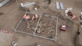 Archaeologists uncover ‘astonishing’ remains of horses buried 2,000 years ago | CNN