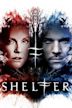 Shelter (2010 film)