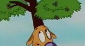 17. Just Say CatDog Sent You; Dog's Strange Condition