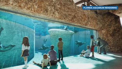 Florida Aquarium approved for $15M in CRA funding for redevelopment project